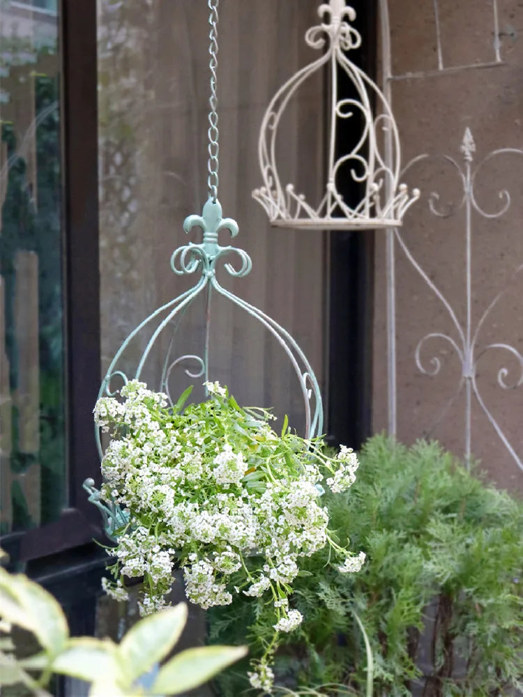 Hanging plants and flowers