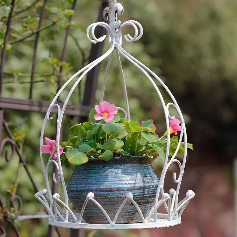 Hanging plants and flowers