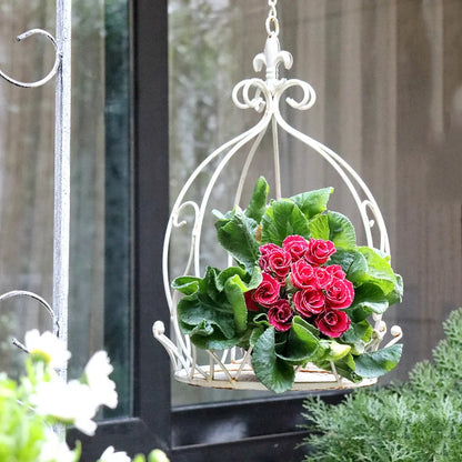 Hanging plants and flowers