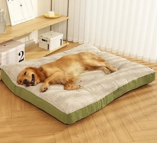 Lit confortable pour chien